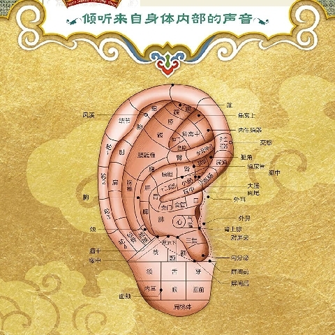 中医治未病的主播照片