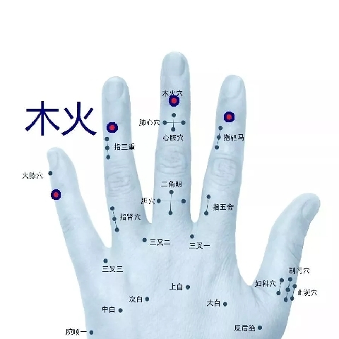 中医治未病的主播照片
