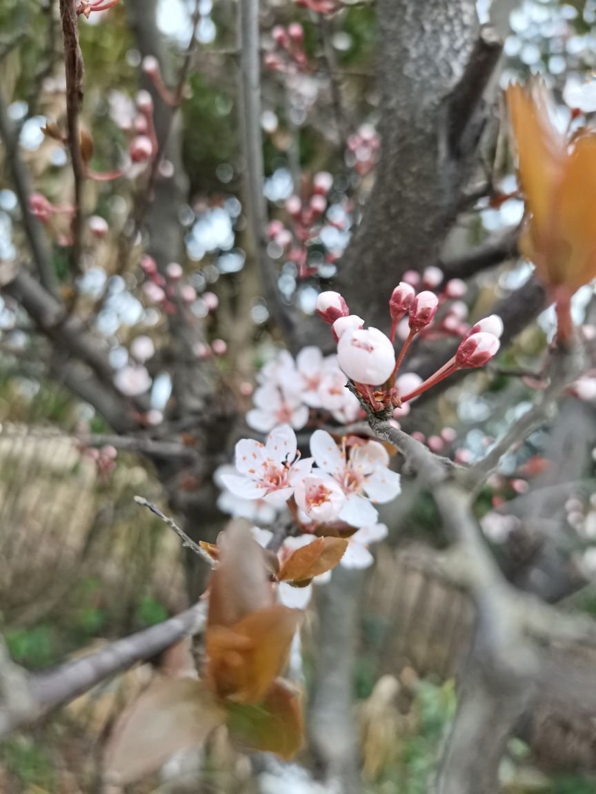 虹宝❣️的图片