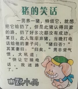 你ღ果然ღ是老板主播照片