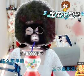 上官暂休(调整心态）主播照片