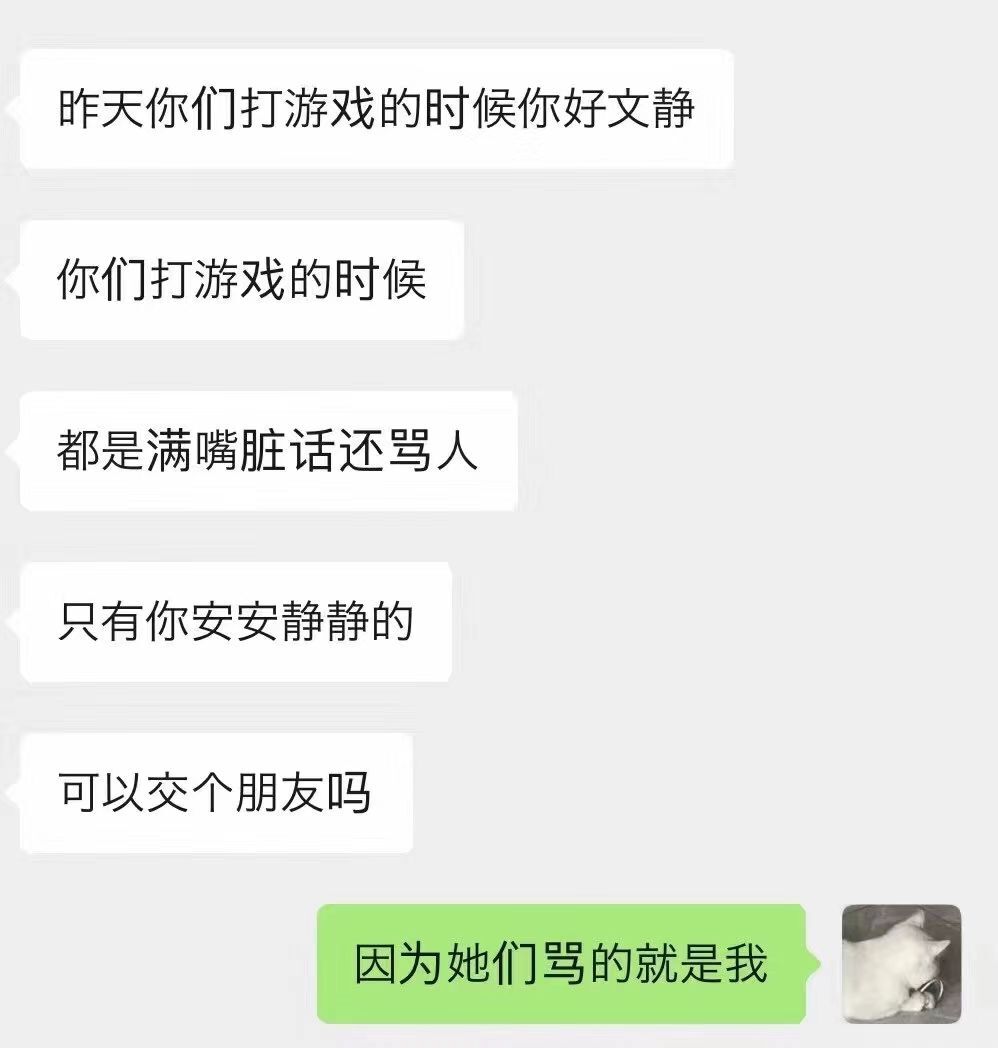老酒馆里慵懒の猫的图片