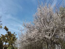 虹宝❣唱歌晚11点主播照片