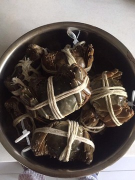 社会💞夭夭（退）主播照片