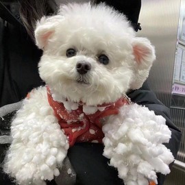 周七周七周七主播照片