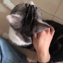 夏小宅👑不讲舞德主播照片