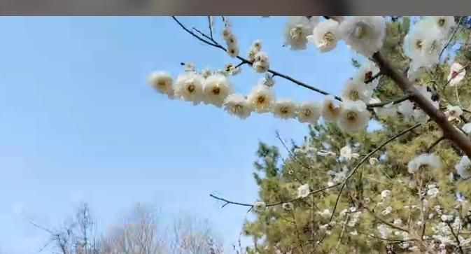 一秒钟の记忆的图片