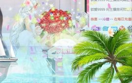 喵崽小花猫主播照片