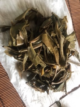 茶茶幸运星的图片