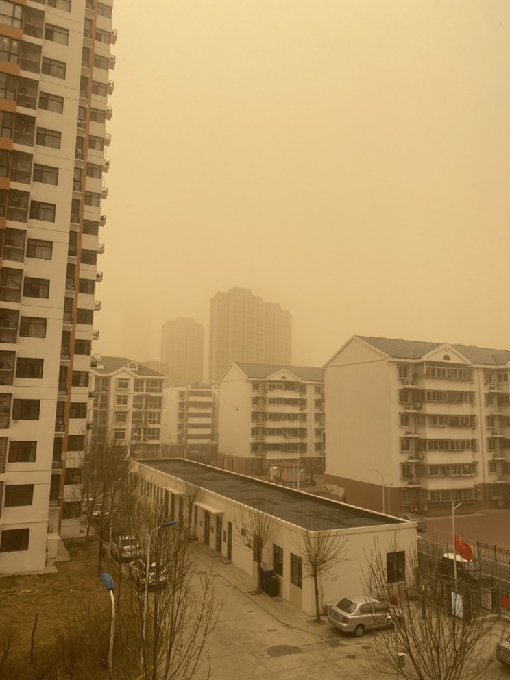 佳琦佳期的图片