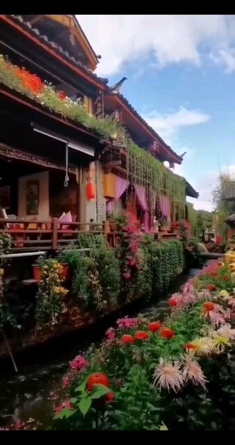 想做个不问世事的江湖