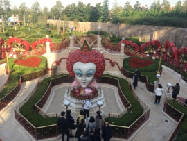 牙牙乐金牌代理秒反点主播照片