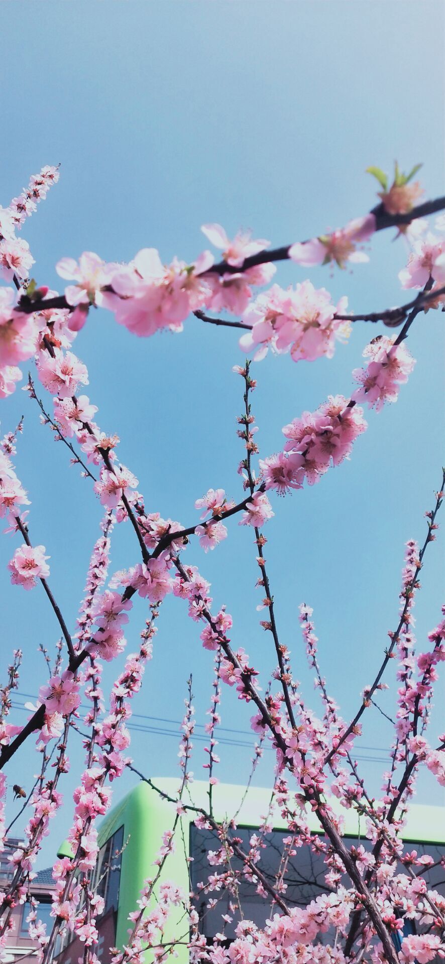 婷婷💕求过月底任务的图片