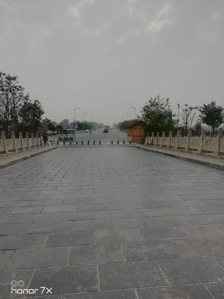 马金科的图片