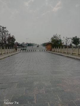 马金科主播照片