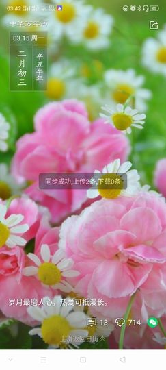 韩致远135主播照片