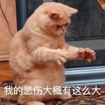 🎎岳来越好的主播照片