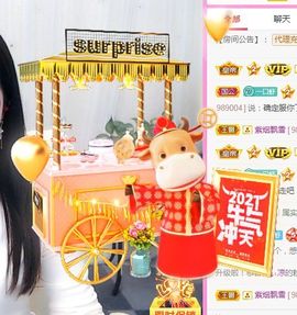 亲亲小虾主播照片
