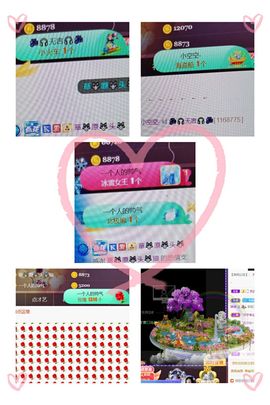 *菜园子*主播照片