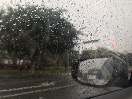 🌻ℱ七-安静唱歌主播照片