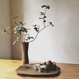 დ释怀დ主播照片