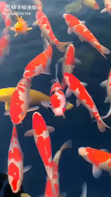 累了，哎