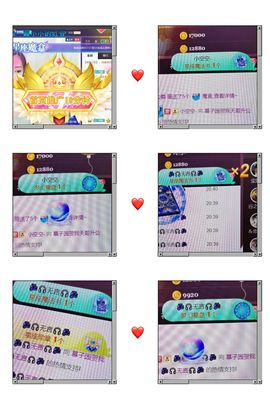 *菜园子*主播照片