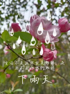 小芳，🌸减肥打卡主播照片