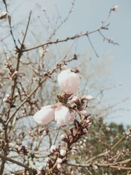 倾音[期遇FM]主播照片