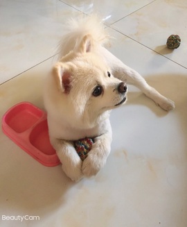 🎵小邓丽君🌺溪儿主播照片