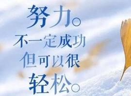 龙菲菲越来越好主播照片