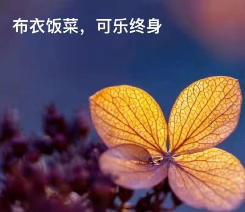 龙三暂休！的图片