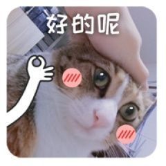 ☆诺熙💞很甜的图片