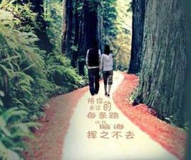 清风♊无痕的图片