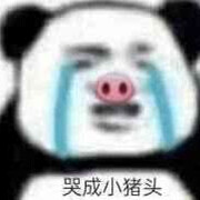 小白来看小嘉嘉