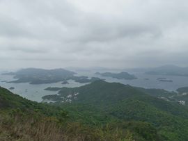 阿華東方主播照片