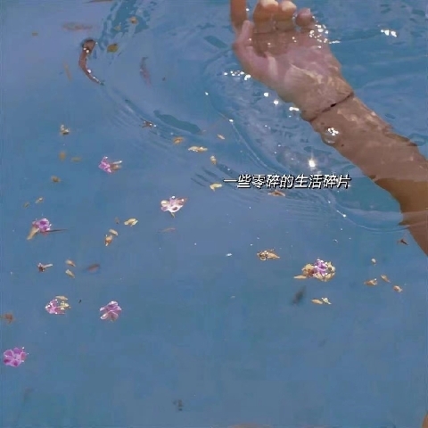轉(zhuǎn)身℡為t傾城?淚的主播照片