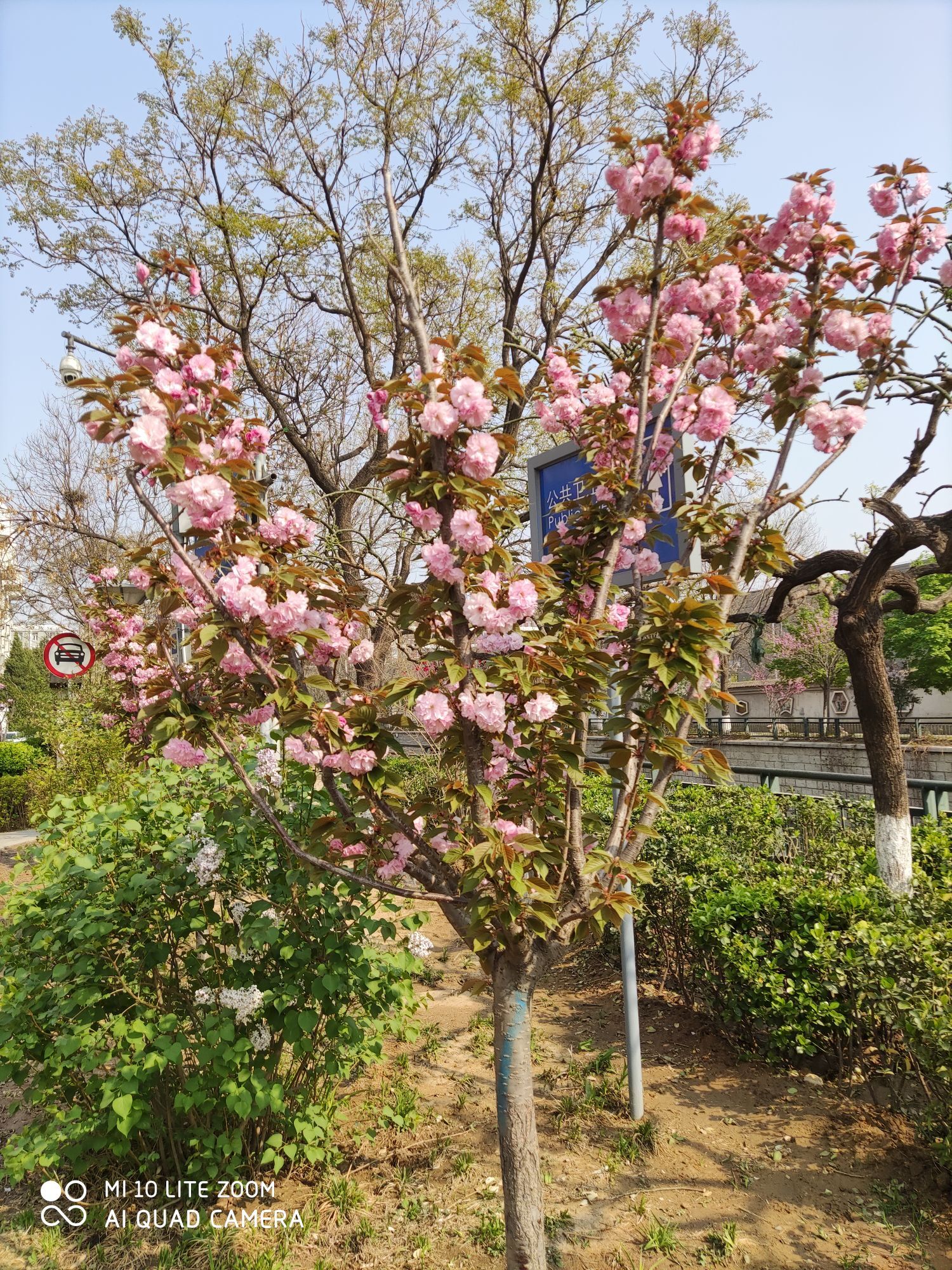 彩虹ღ唱歌的主播照片