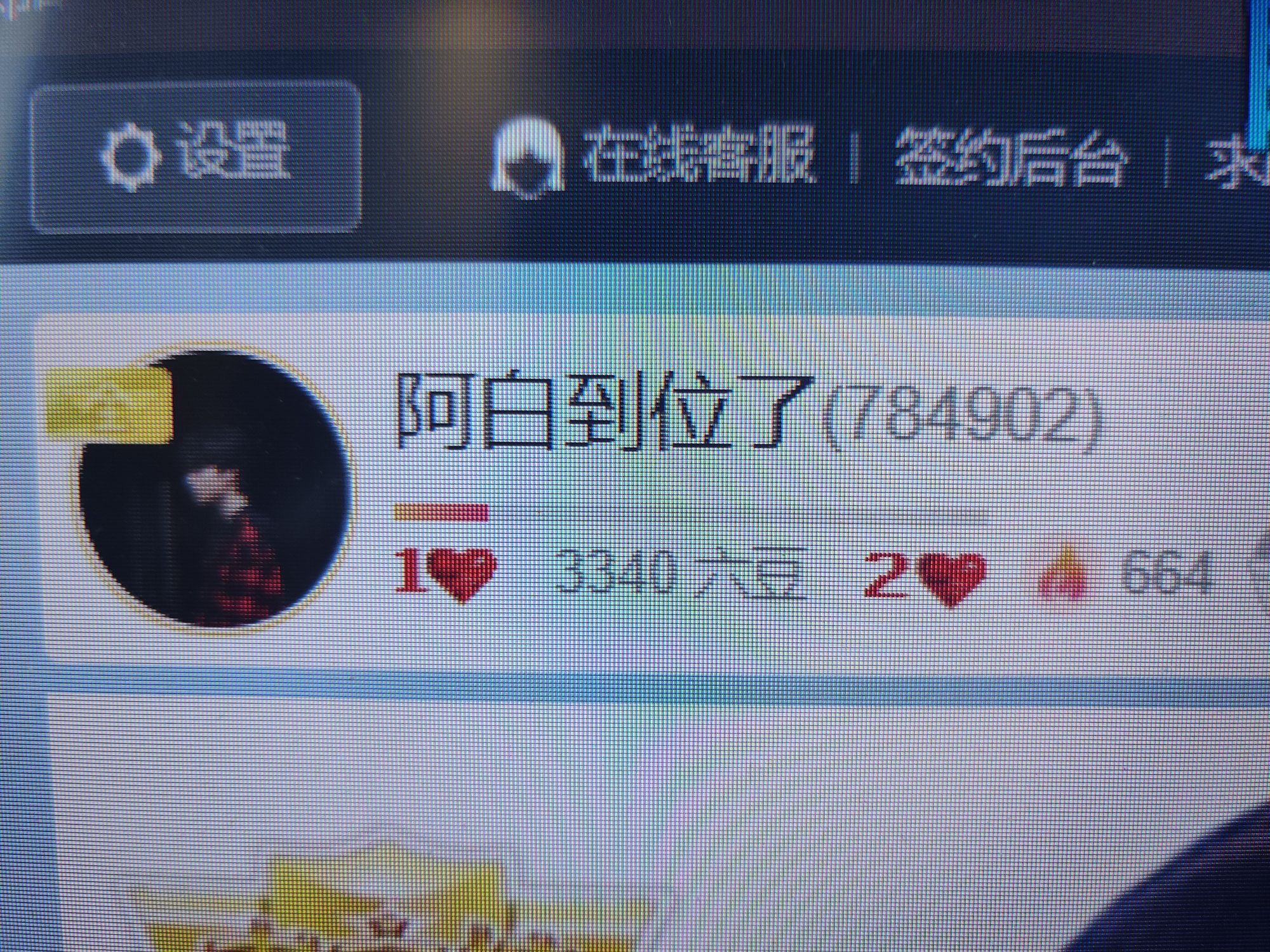 阿白换784902的主播照片