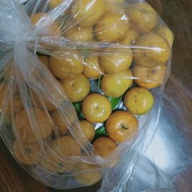 🍏🍌🍌主播照片