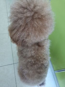我欲化风成摩羯的图片