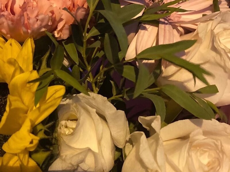 🧸0*的主播海报