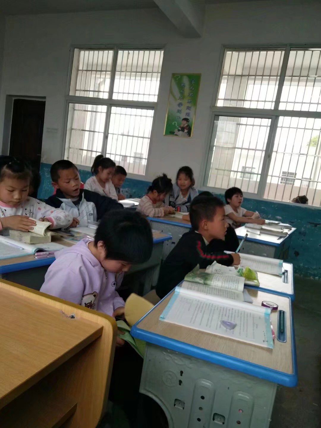 果果(平安好运)的图片