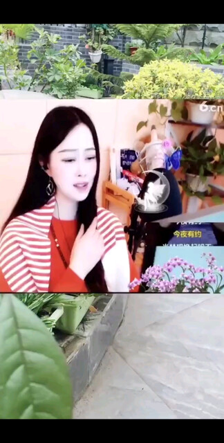 《今夜无眠》