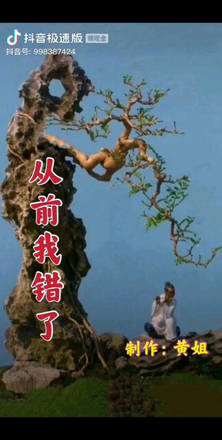 你愿意做我的一生一世的朋友吗