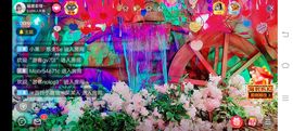 ……若主播照片