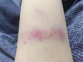 安胖胖💕7300主播照片