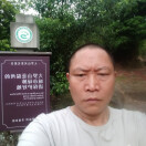 2345v的头像
