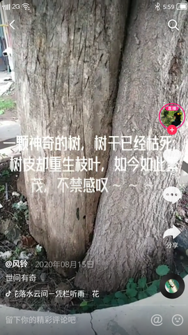 知己知辟百战不殆主播照片