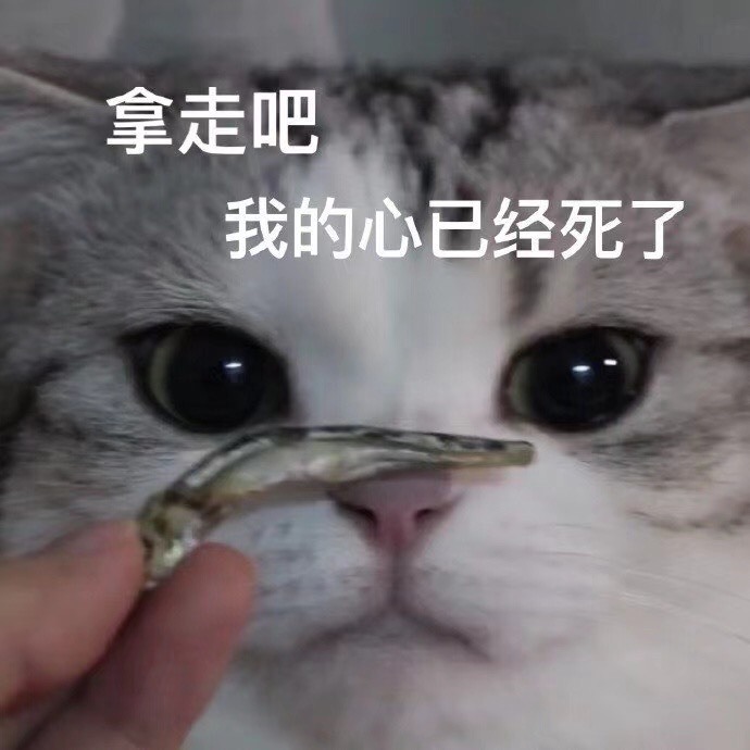 ❤❤梓萱纯粹唱歌的图片